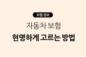 자동차 보험 현명하게 고르는 방법