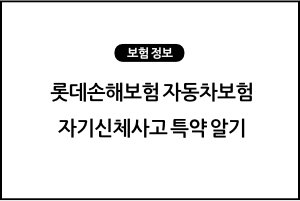 롯데손해보험 자동차보험 자기신체사고 특약 알기