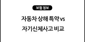 롯데손해보험 자동차보험 자동차 상해 특약 vs 자기신체사고 비교 총정리